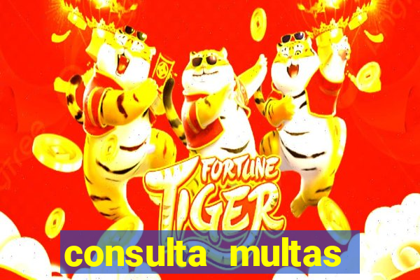 consulta multas detran mg