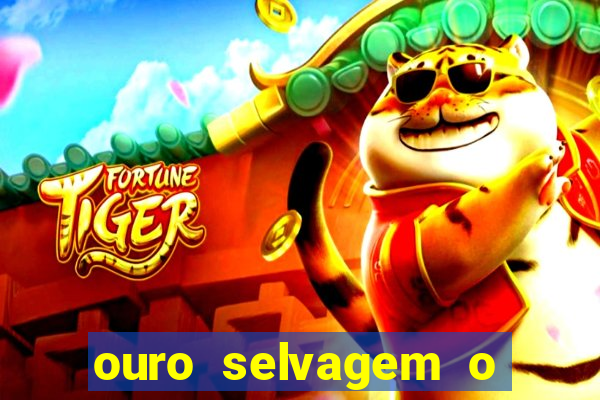 ouro selvagem o que aconteceu na vida