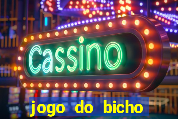 jogo do bicho crash bingo