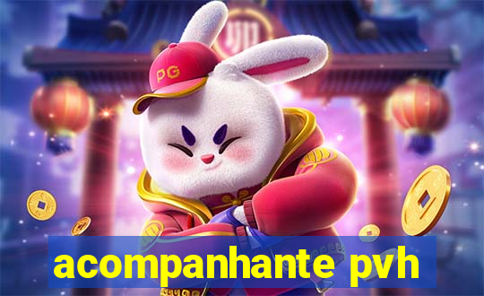 acompanhante pvh