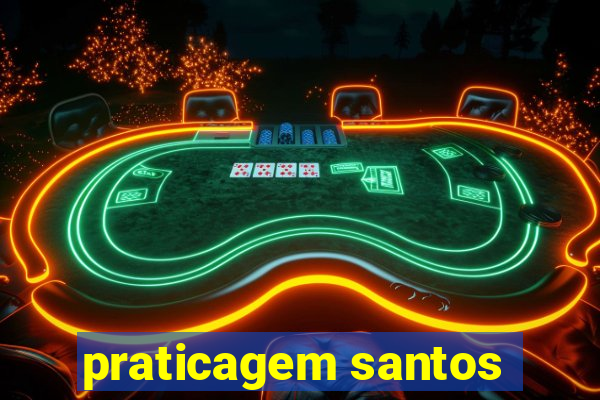 praticagem santos