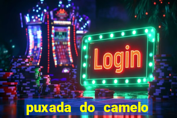 puxada do camelo no jogo do bicho