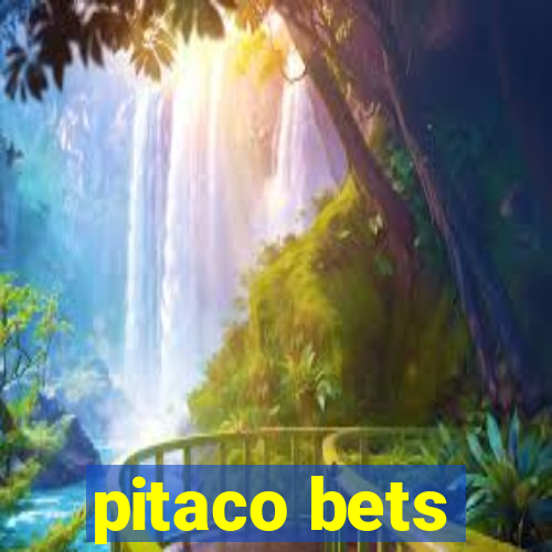 pitaco bets