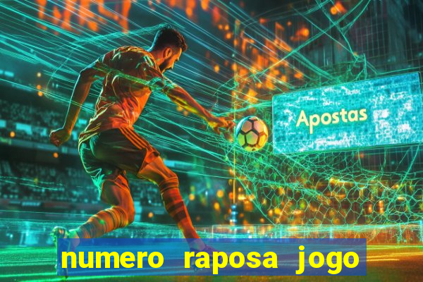 numero raposa jogo do bicho