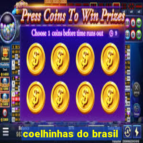 coelhinhas do brasil