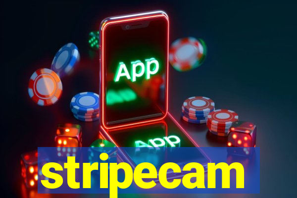 stripecam