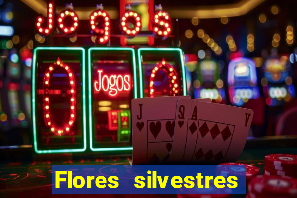 Flores silvestres brasileiras 25