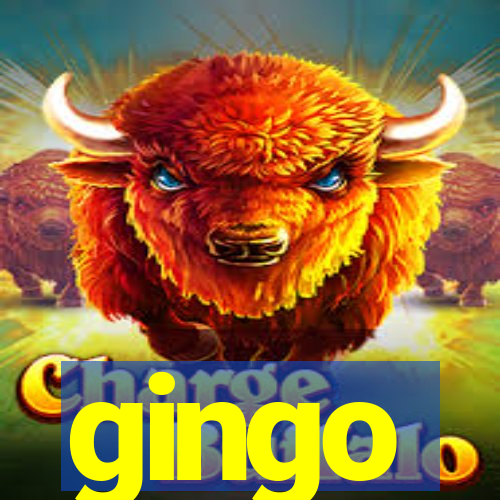 gingo